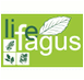 Fagus Life Project