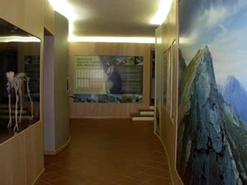 Chamois Museum in Farindola